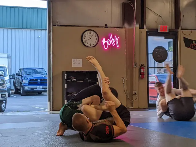 Cast Iron Bjj — photo from the business 3