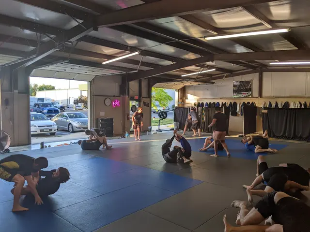 Cast Iron Bjj — photo from the business 9