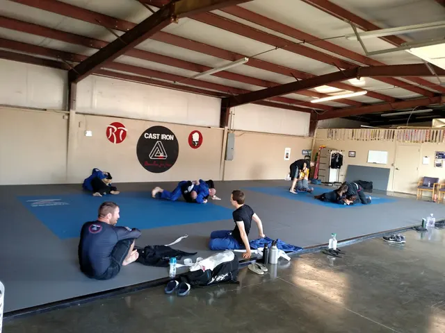 Cast Iron Bjj — photo from the business 2
