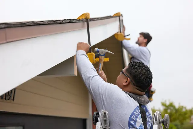 Admiral Pest Control — photo from the business 6