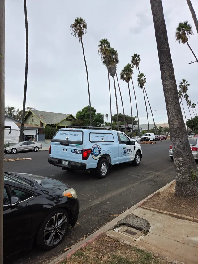 Admiral Pest Control — customer photo 5
