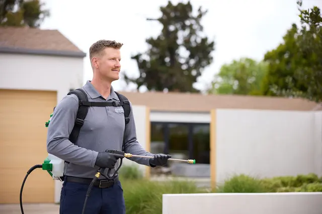 Admiral Pest Control — photo from the business 2