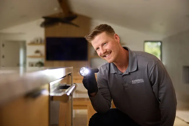 Admiral Pest Control — photo from the business 10