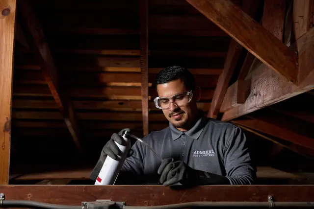 Admiral Pest Control — photo from the business 12