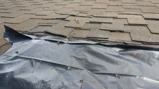 Bee Busters - Orange County Bee Removal Service — photo from the business 11
