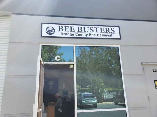Bee Busters - Orange County Bee Removal Service — photo from the business 1
