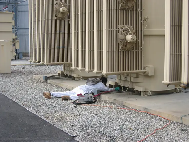 Bee Busters - Orange County Bee Removal Service — photo from the business 6
