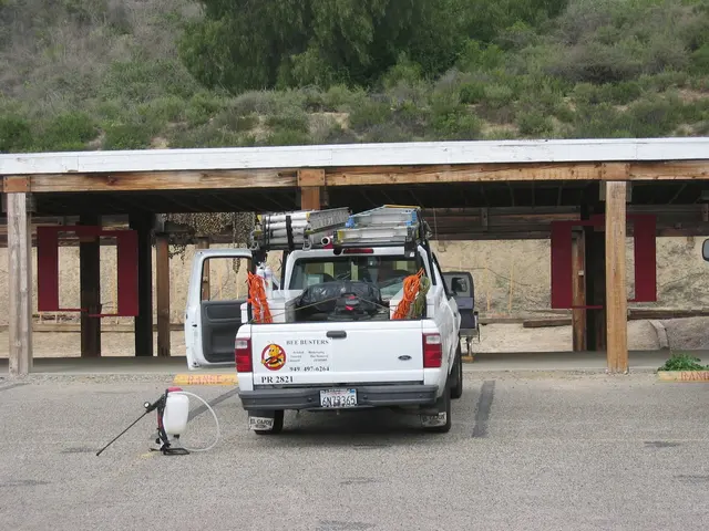 Bee Busters - Orange County Bee Removal Service — photo from the business 10