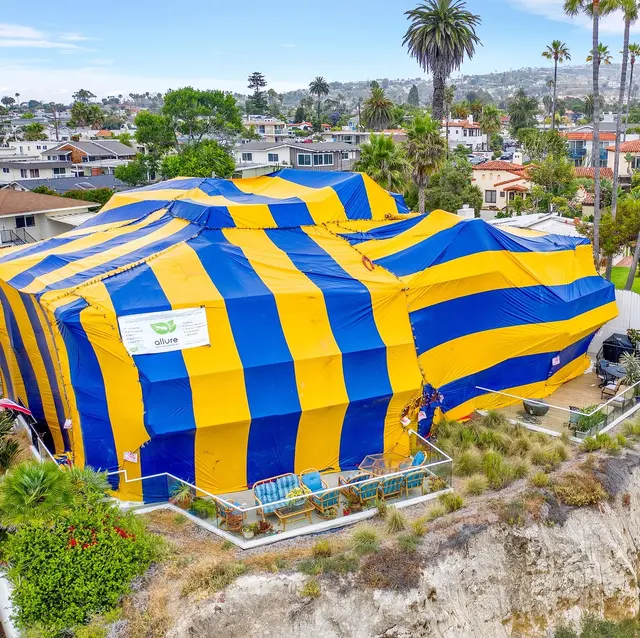 Allure Pest Management — photo from the business 4