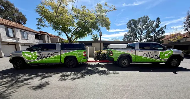Allure Pest Management — photo from the business 2