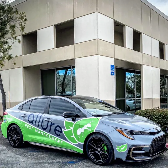 Allure Pest Management — photo from the business 6
