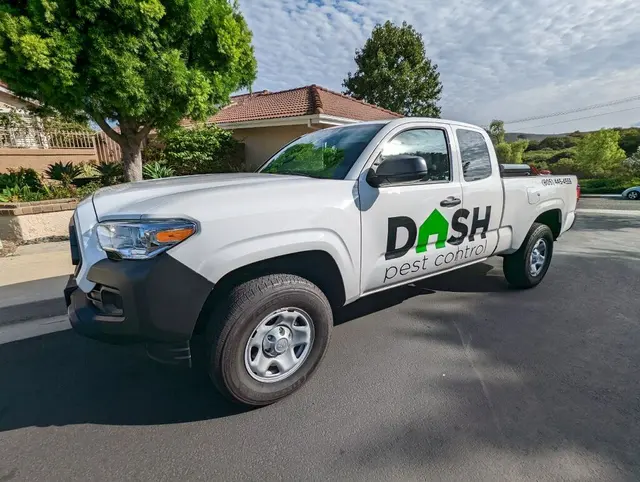 Dash Pest Control — photo from the business 3