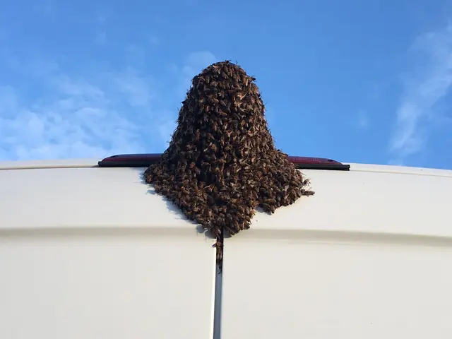Dash Pest Control — photo from the business 8