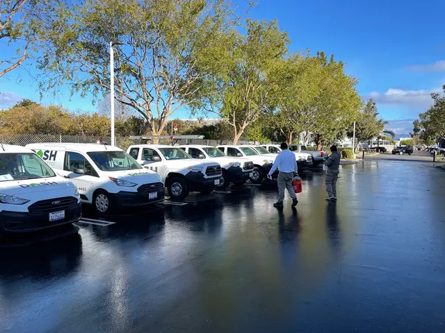 Dash Pest Control — photo from the business 2