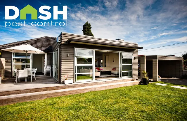 Dash Pest Control — photo from the business 1
