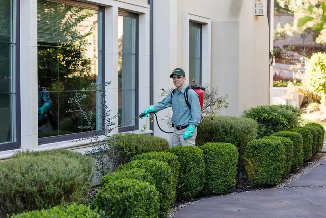 Malang Pest Control — photo from the business 3