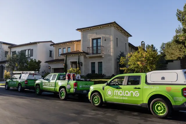 Malang Pest Control — photo from the business 5