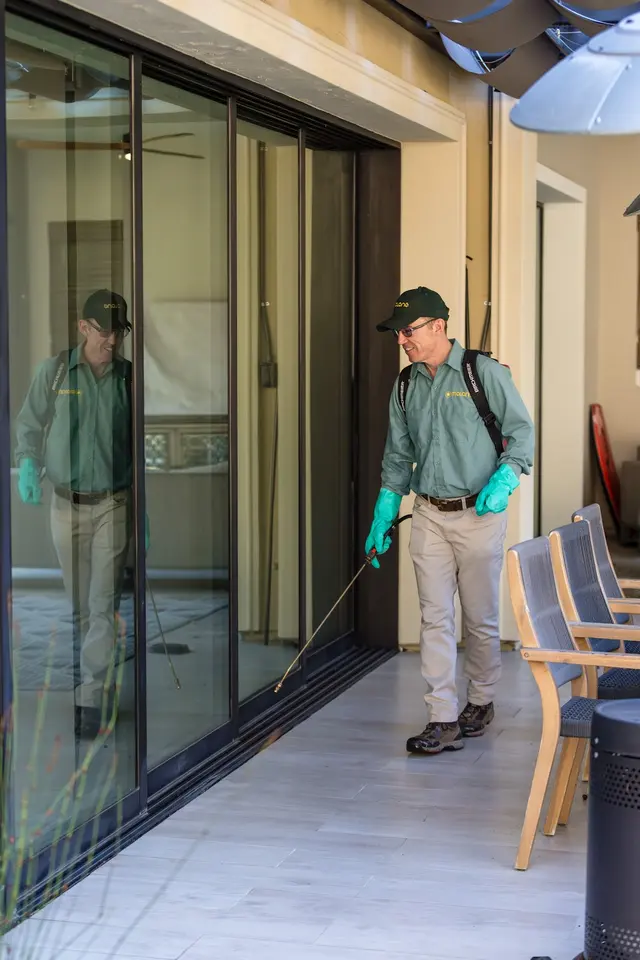 Malang Pest Control — photo from the business 7