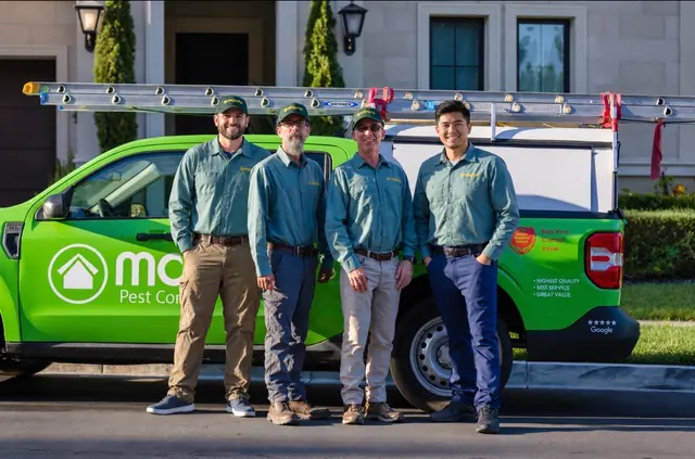 Malang Pest Control — photo from the business 4