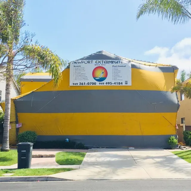 Newport Exterminating — customer photo 5