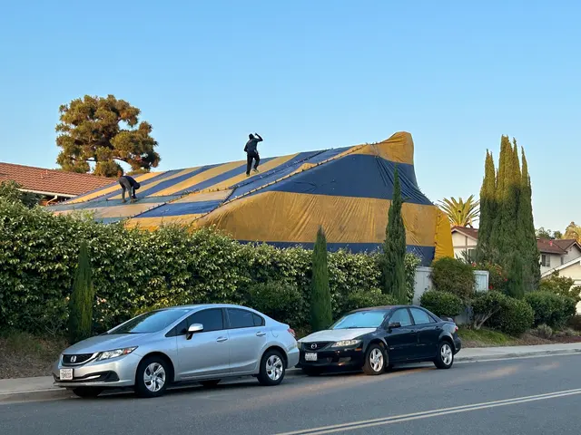 Newport Exterminating — customer photo 8
