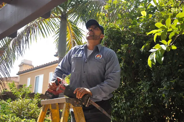 Newport Exterminating — photo from the business 10
