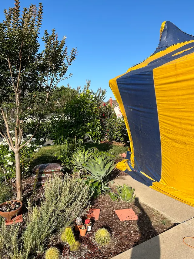Newport Exterminating — customer photo 6