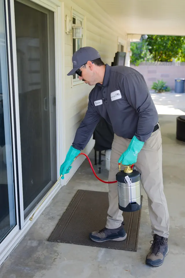 Preventive Pest Control — photo from the business 4