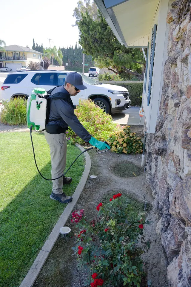 Preventive Pest Control — photo from the business 2