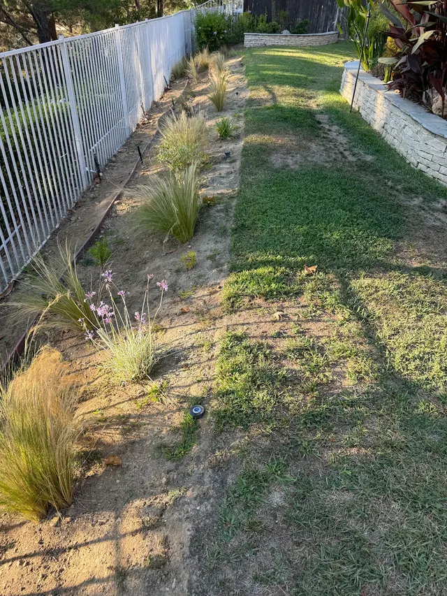 Preventive Pest Control — customer photo 7
