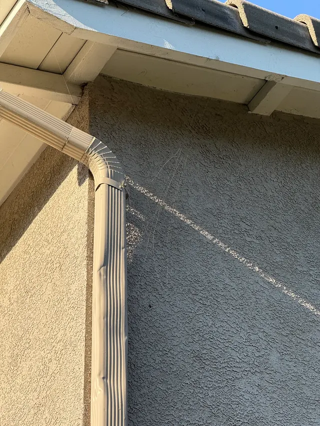 Preventive Pest Control — customer photo 9