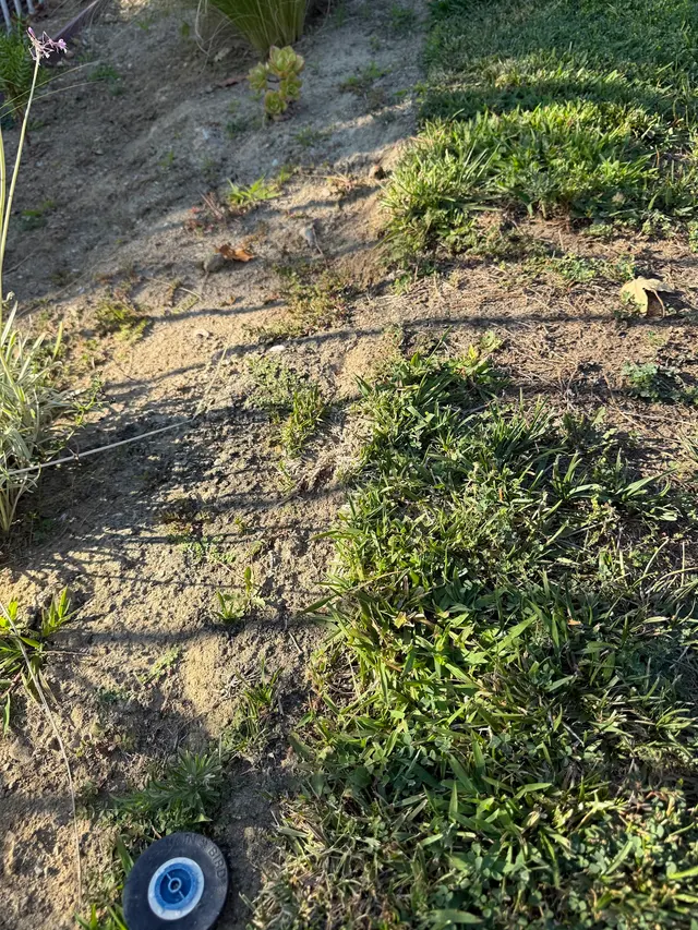 Preventive Pest Control — customer photo 10