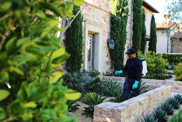 HomeShield Pest Control — photo from the business 12