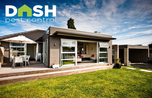 Dash Pest Control — photo from the business 1