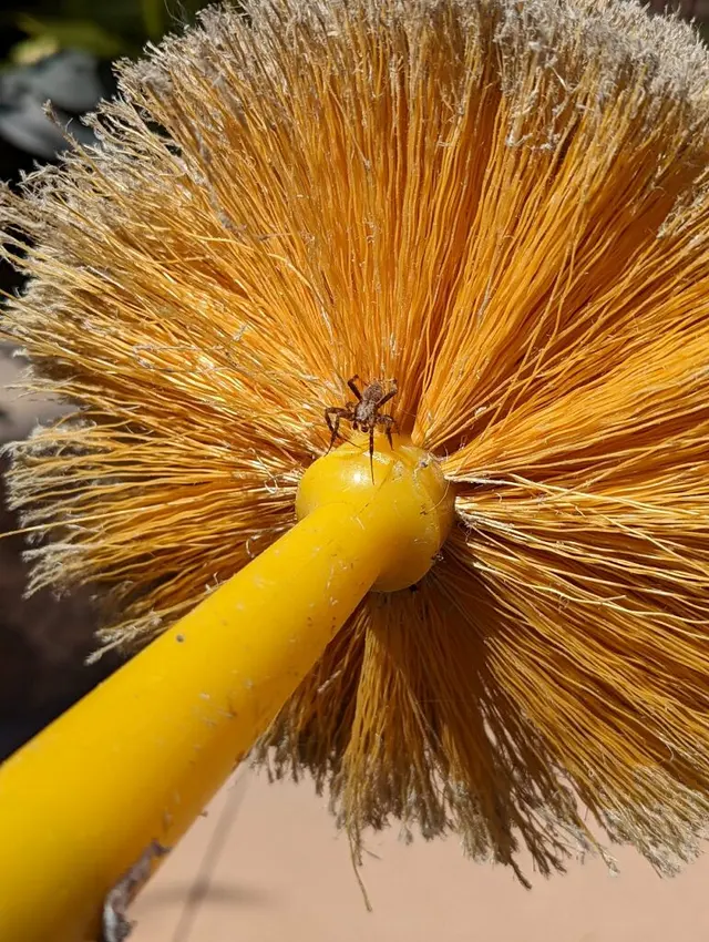Dash Pest Control — photo from the business 7
