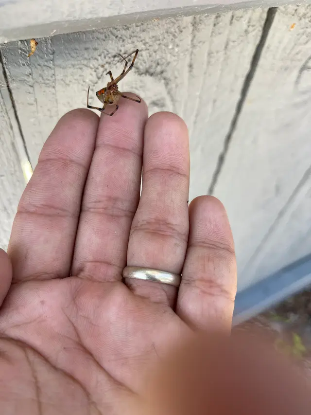 Dash Pest Control — photo from the business 11