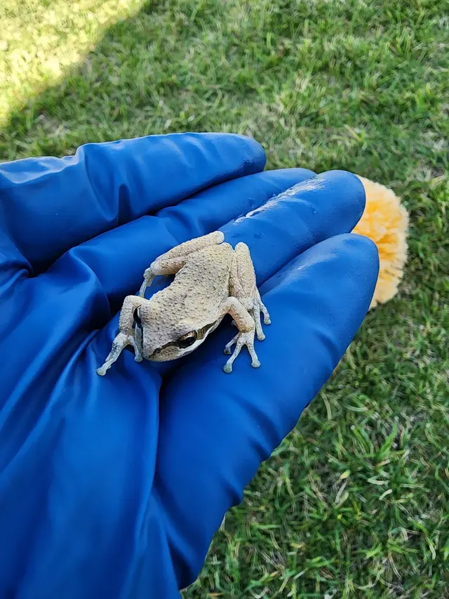 Dash Pest Control — photo from the business 5