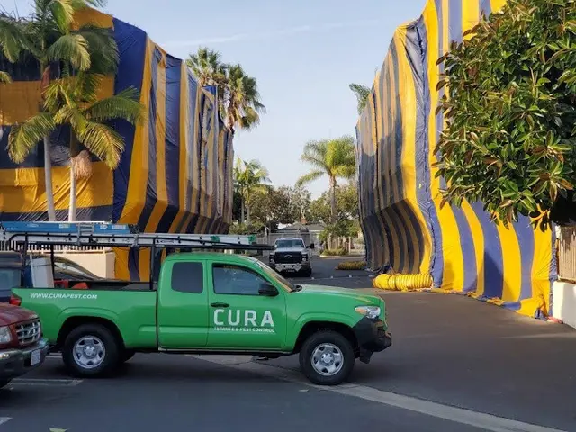 CURA Termite & Pest Control Laguna Niguel — photo from the business 5
