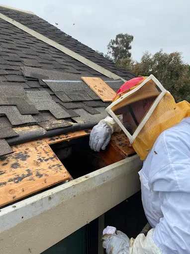 CURA Termite & Pest Control Laguna Niguel — photo from the business 1