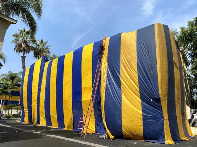 CURA Termite & Pest Control Laguna Niguel — photo from the business 8