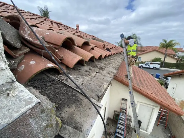CURA Termite & Pest Control Laguna Niguel — photo from the business 7