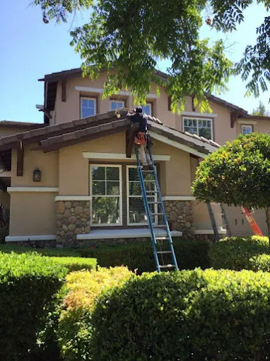 CURA Termite & Pest Control Laguna Niguel — photo from the business 9