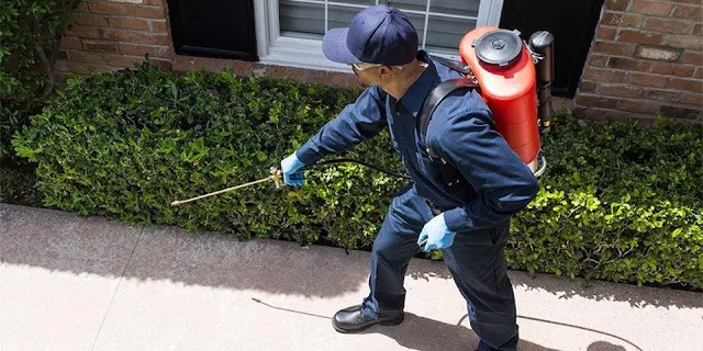 CURA Termite & Pest Control Laguna Niguel — photo from the business 4