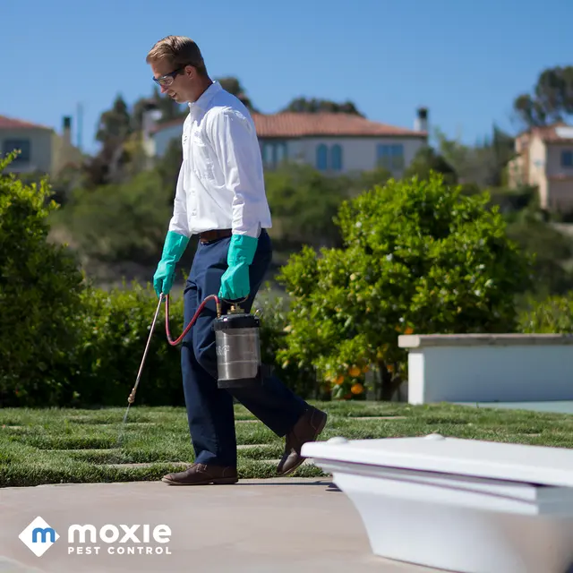 Moxie Pest Control — photo from the business 6