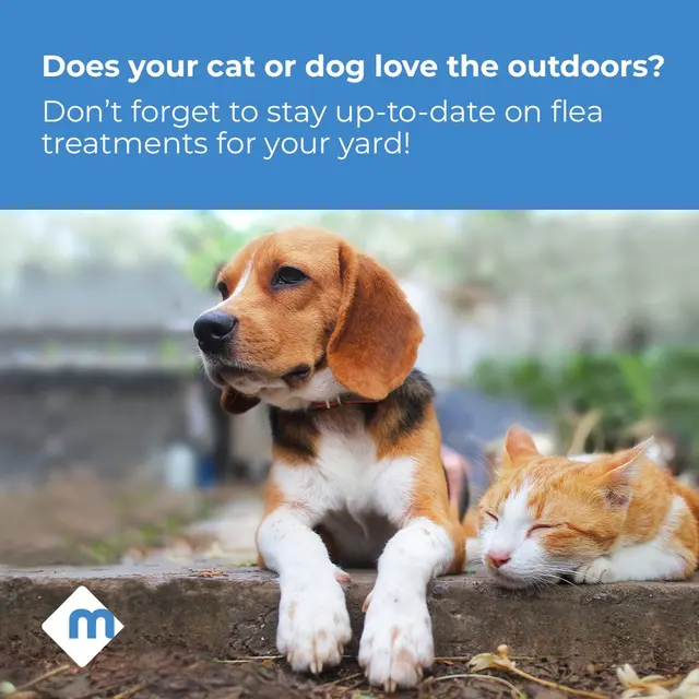 Moxie Pest Control — photo from the business 12