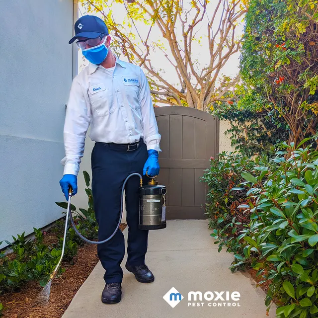 Moxie Pest Control — photo from the business 9