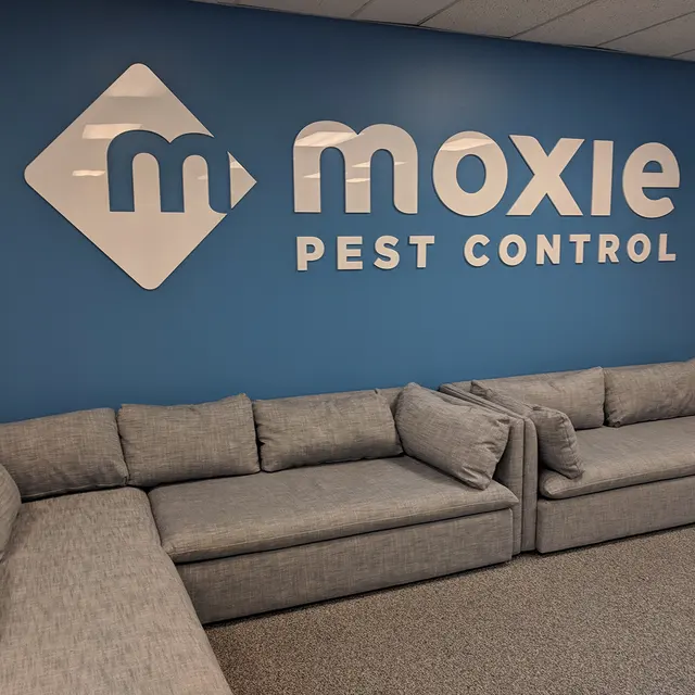 Moxie Pest Control — photo from the business 4