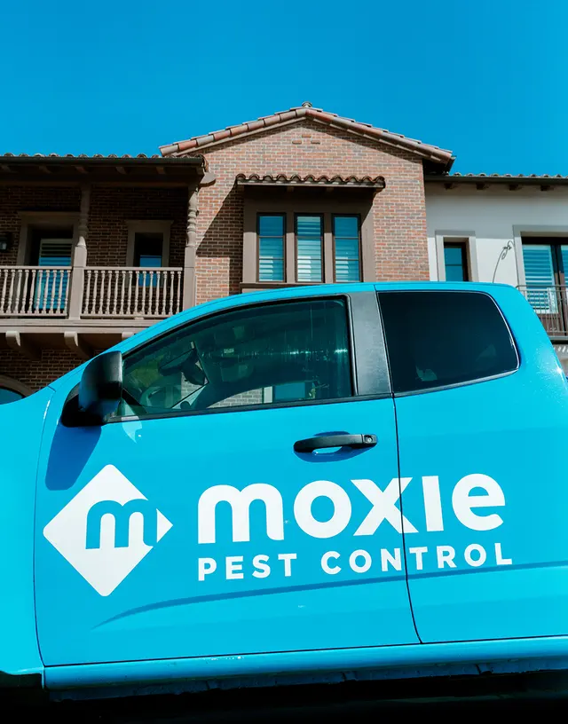 Moxie Pest Control — photo from the business 5