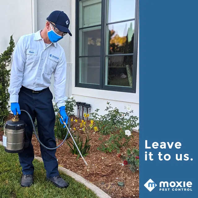 Moxie Pest Control — photo from the business 10