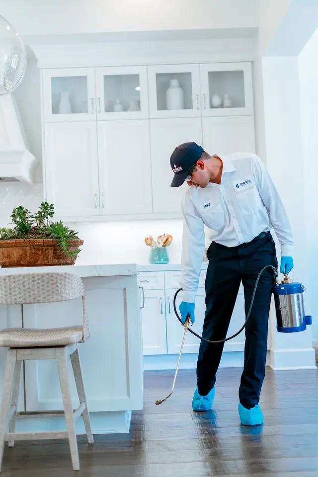 Moxie Pest Control — photo from the business 2